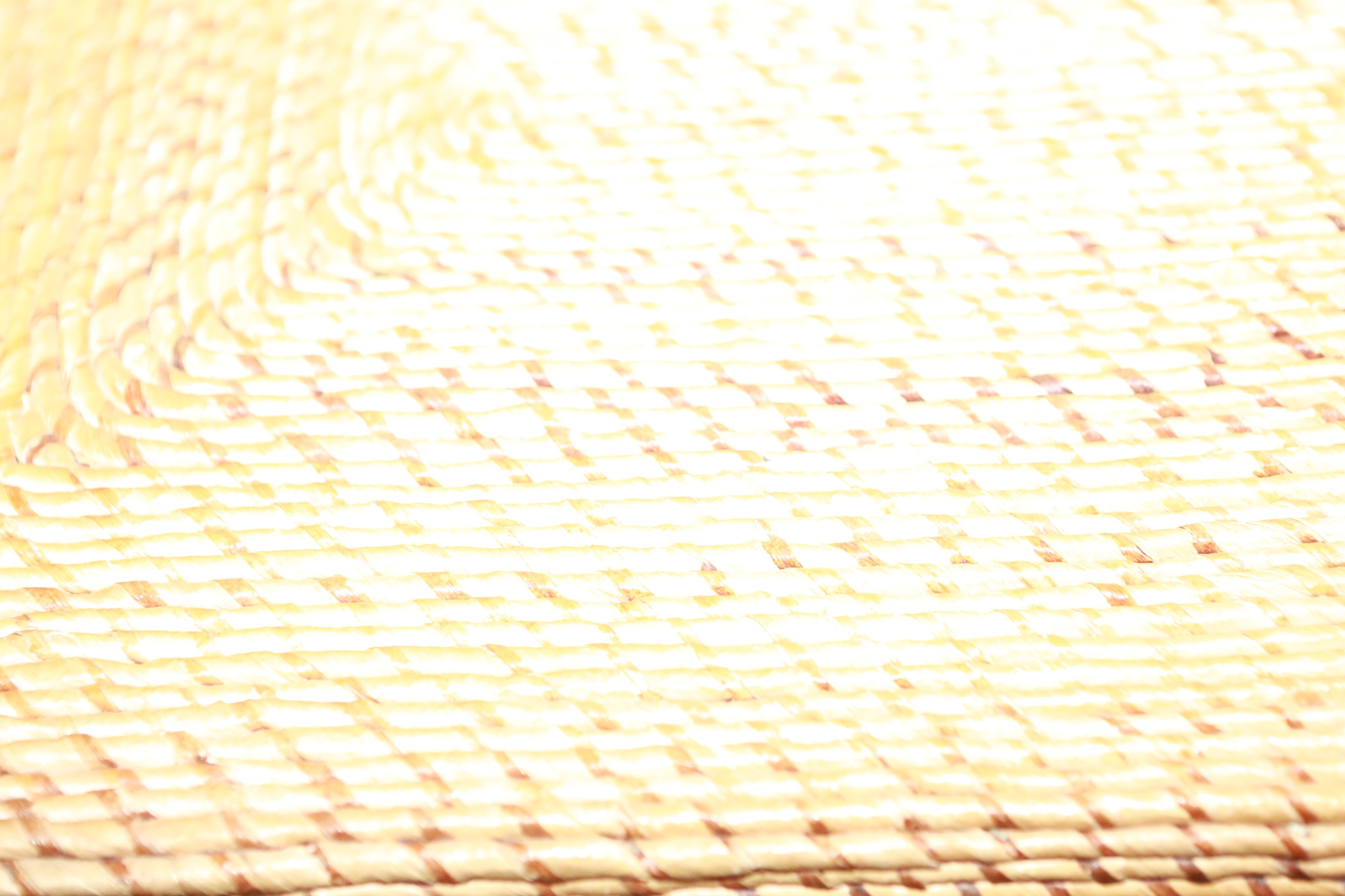 Pier 1 Imports Wicker Storage Chest