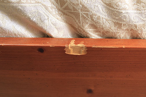 Contemporary Four Poster Queen Size Bed by Broyhill With Bedding