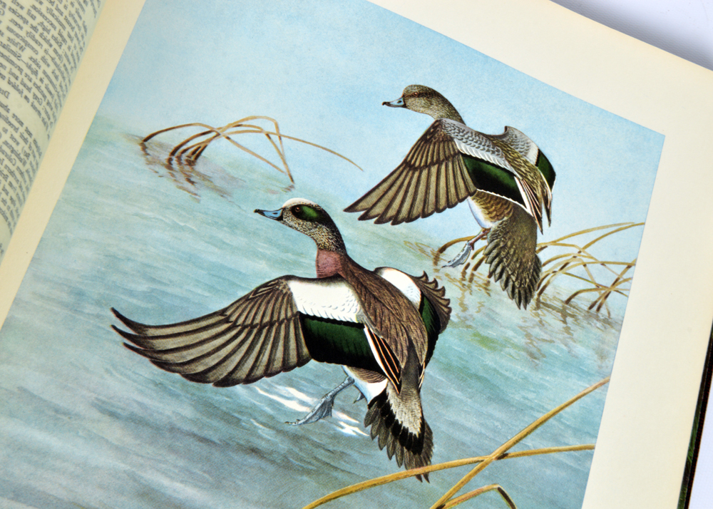 1930s–1940s Zoology Books