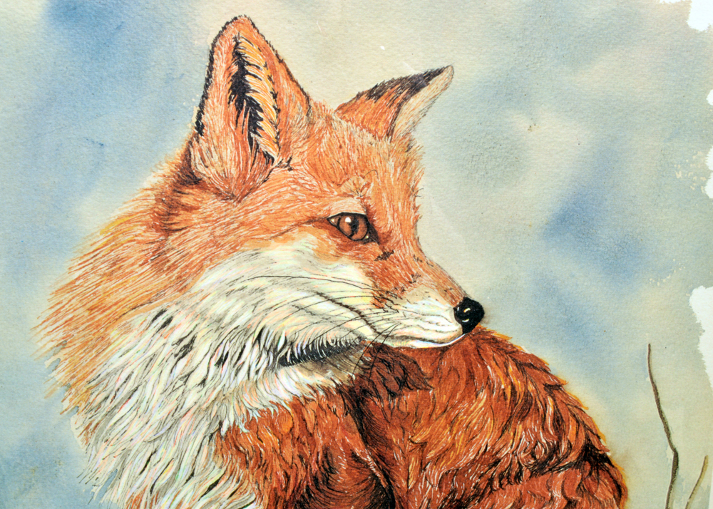 Brandt Carter Signed Limited Edition Offset Lithograph of a Fox