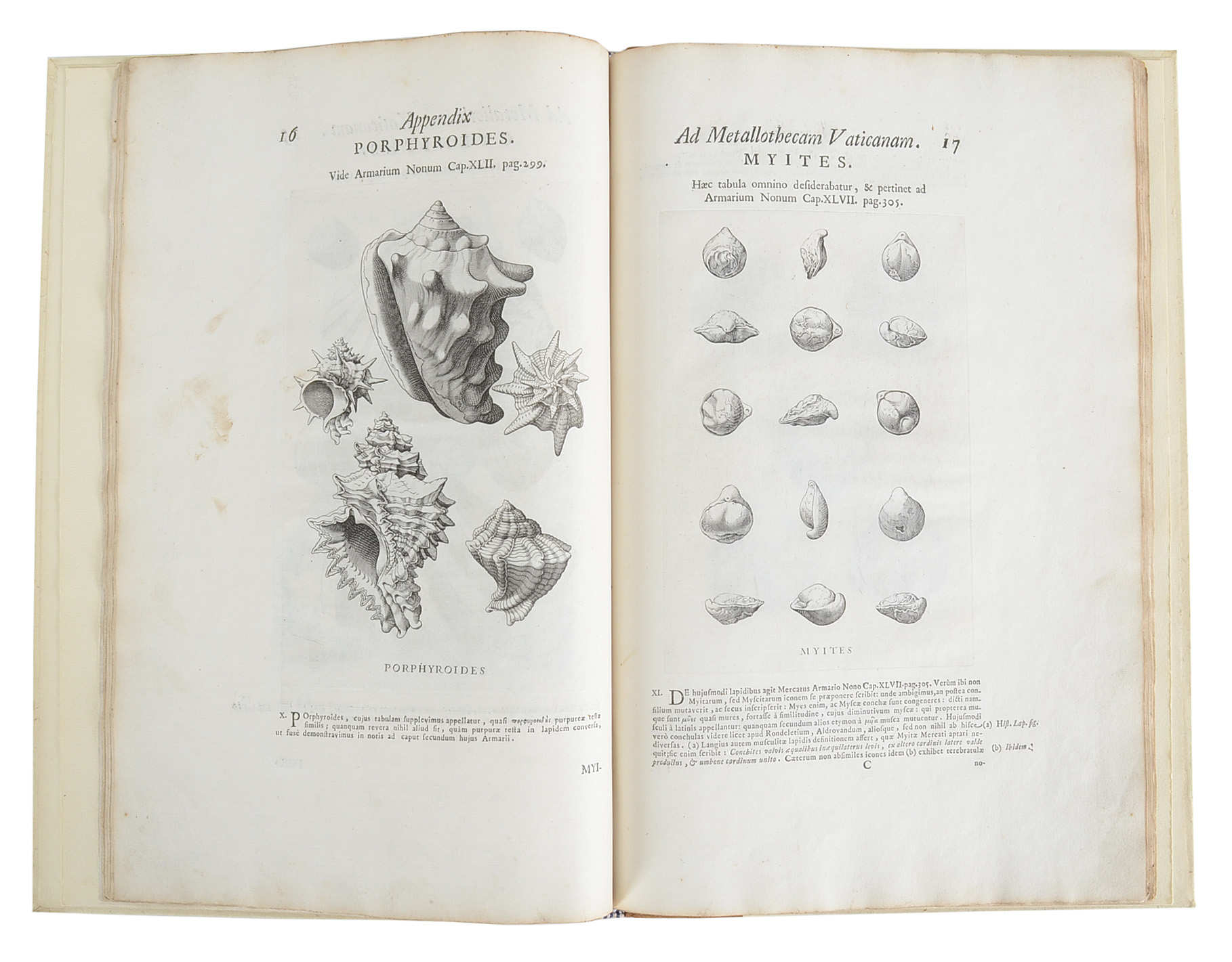 1719 "Appendix ad Metallothecam Vaticanam" of Michele Mercati