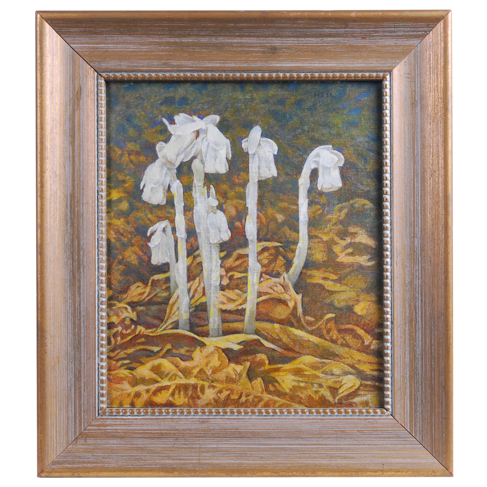 Charles E. Heil Oil on Board Titled "Indian Pipe"