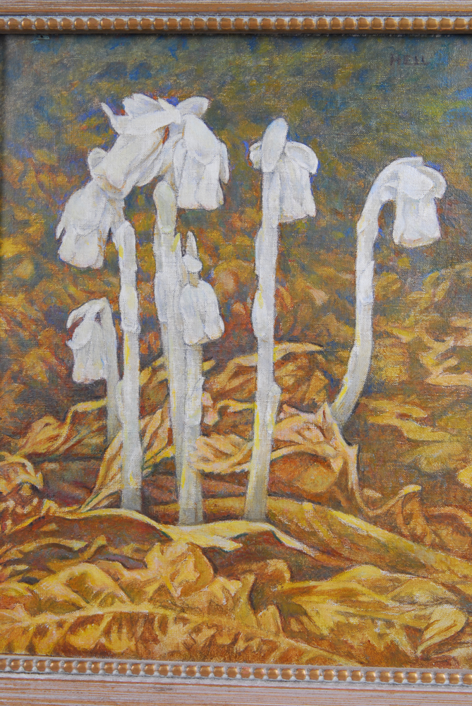 Charles E. Heil Oil on Board Titled "Indian Pipe"