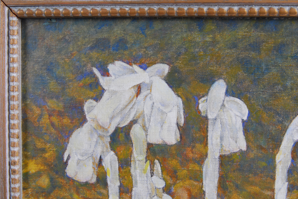 Charles E. Heil Oil on Board Titled "Indian Pipe"