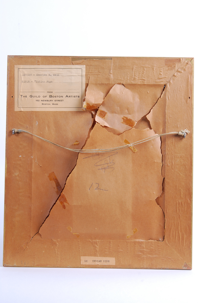 Charles E. Heil Oil on Board Titled "Indian Pipe"