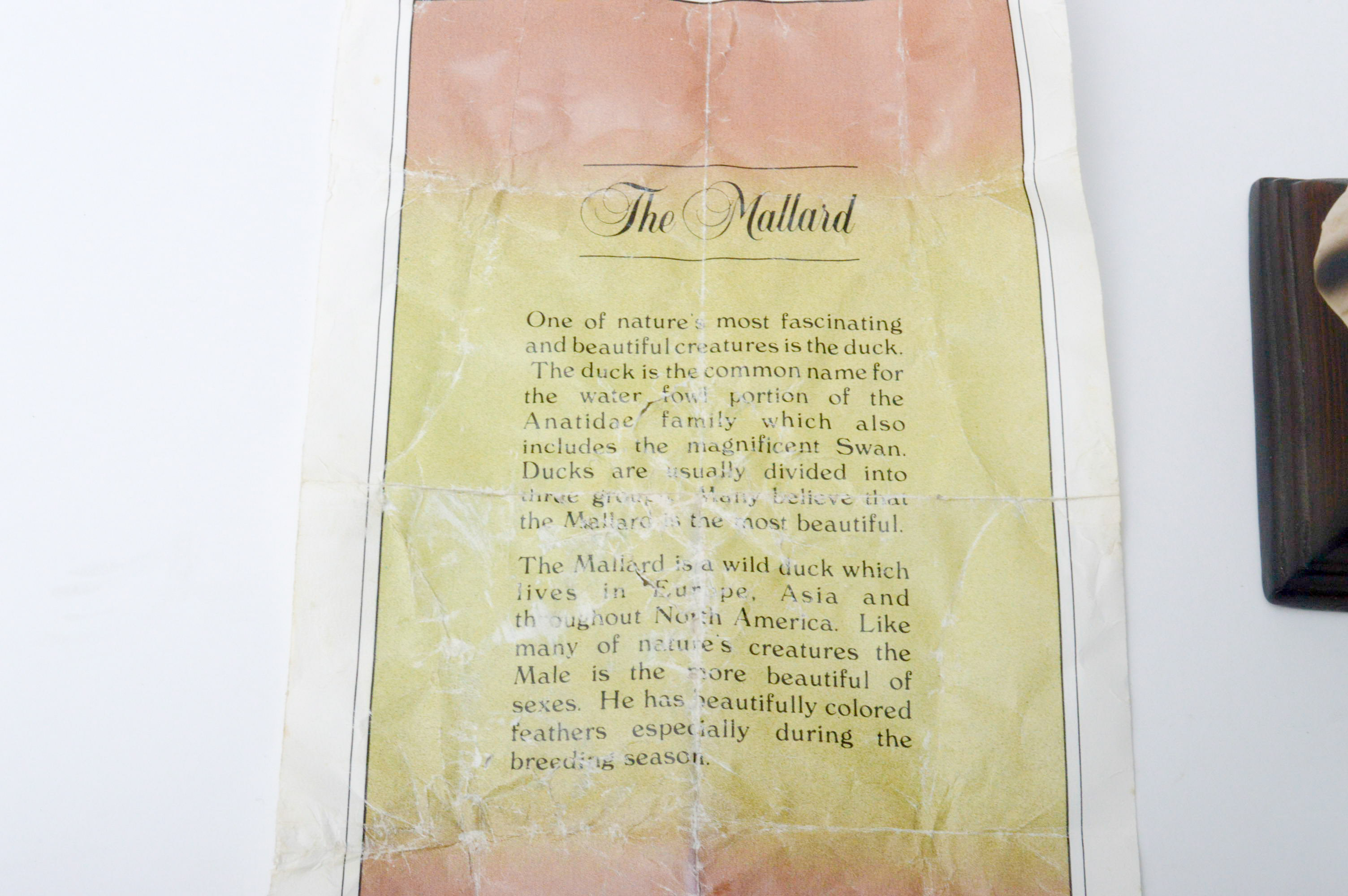 Birds in Flight Special Edition "Flight of the Mallard" Limited Edition Figurine