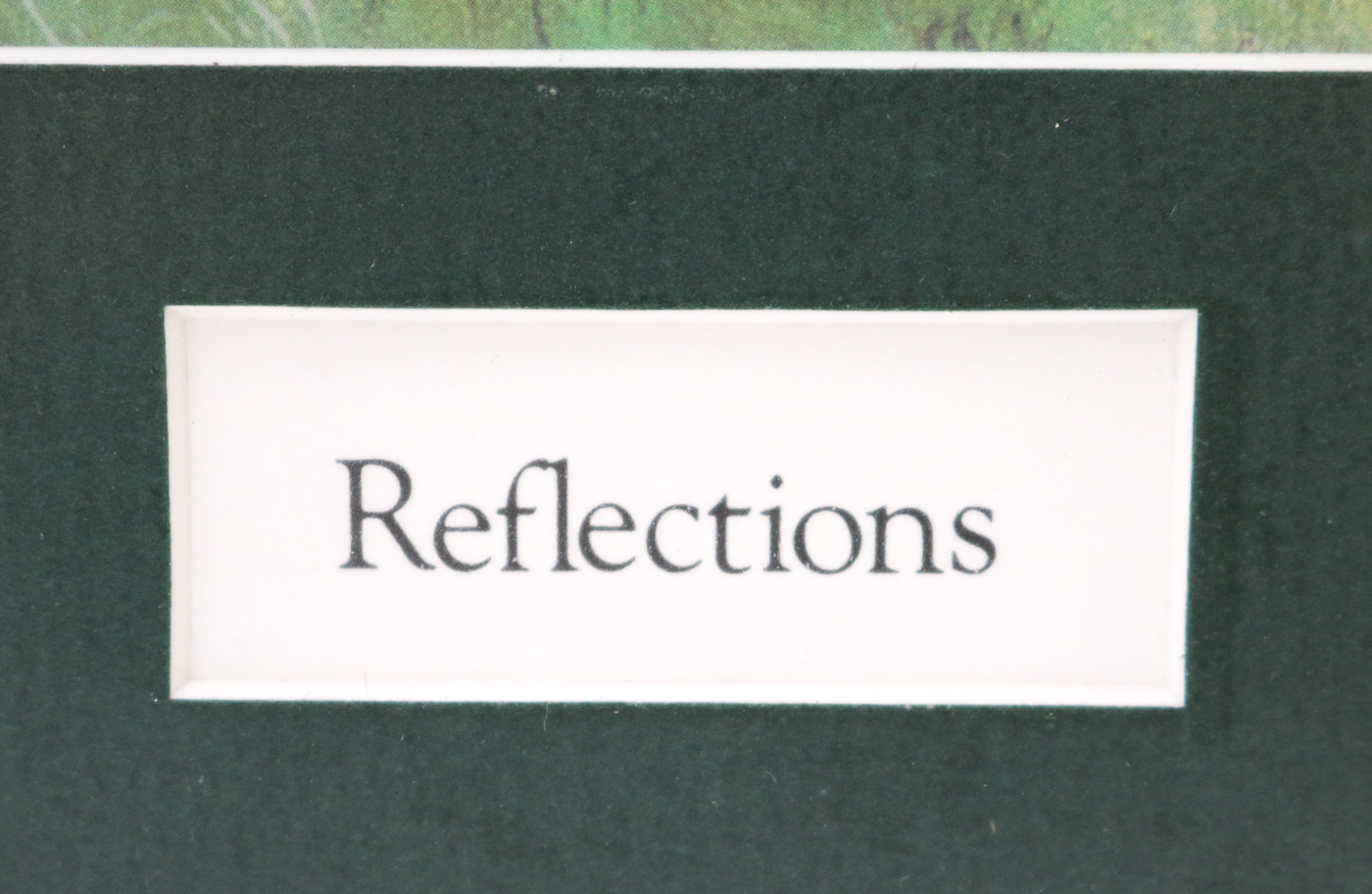 Lee Teter Offset Lithograph "Reflections"