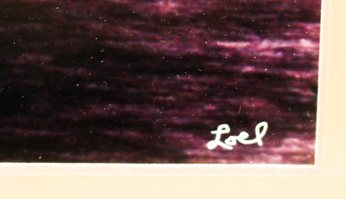 Loel Martin Photograph "Chicago Lightening"