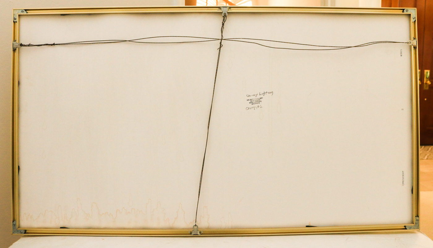 Loel Martin Photograph "Chicago Lightening"