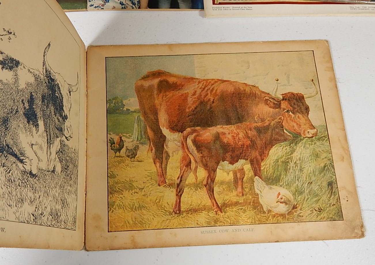 Vintage Children's Books and Magazines