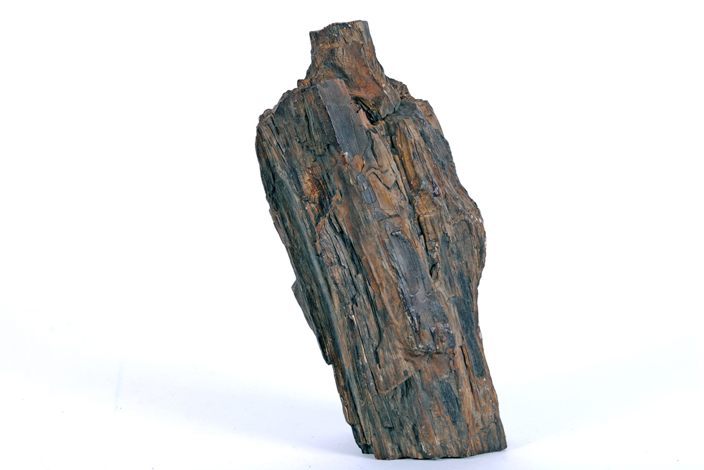 Large Piece of Petrified Wood