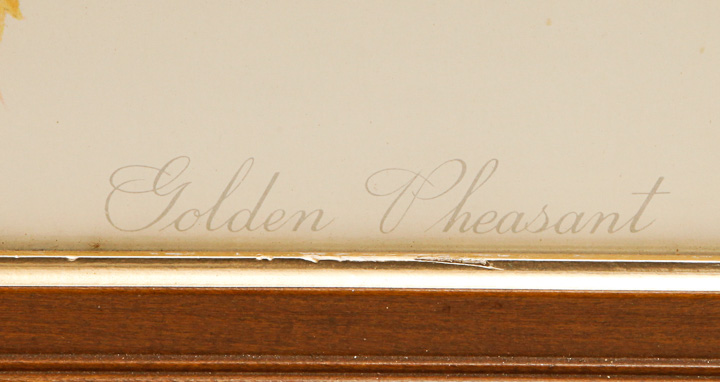 Pair of Framed Bird Giclees after Roger Tory Peterson