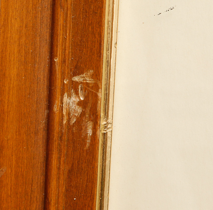 Pair of Framed Bird Giclees after Roger Tory Peterson