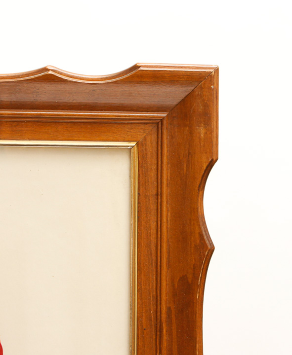 Pair of Framed Bird Giclees after Roger Tory Peterson