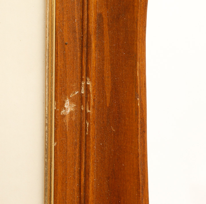 Pair of Framed Bird Giclees after Roger Tory Peterson