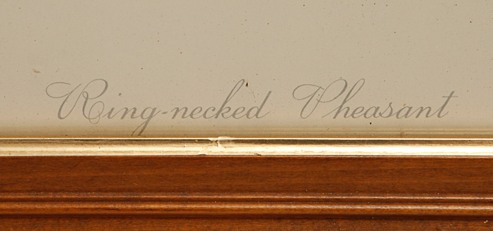 Pair of Framed Bird Giclees after Roger Tory Peterson