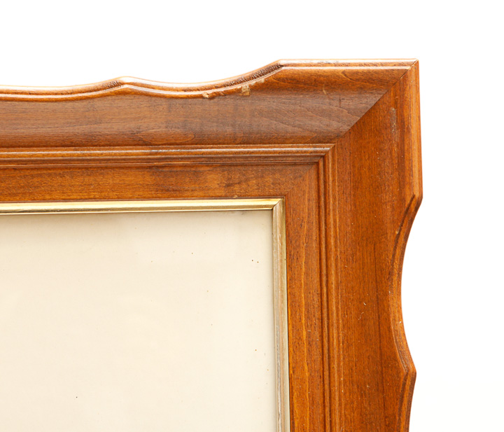 Pair of Framed Bird Giclees after Roger Tory Peterson