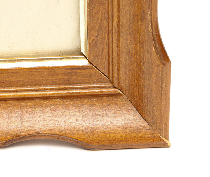 Pair of Framed Bird Giclees after Roger Tory Peterson