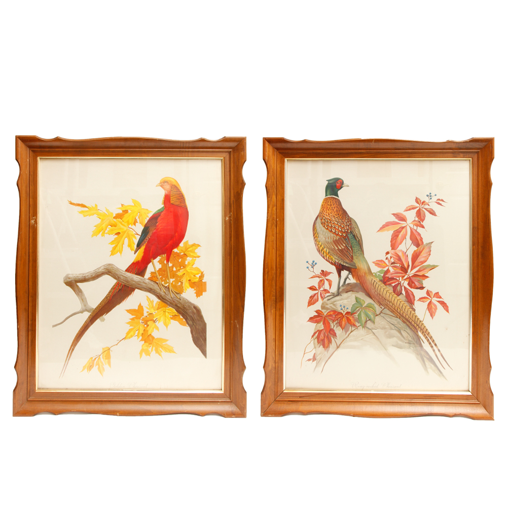 Pair of Framed Bird Giclees after Roger Tory Peterson
