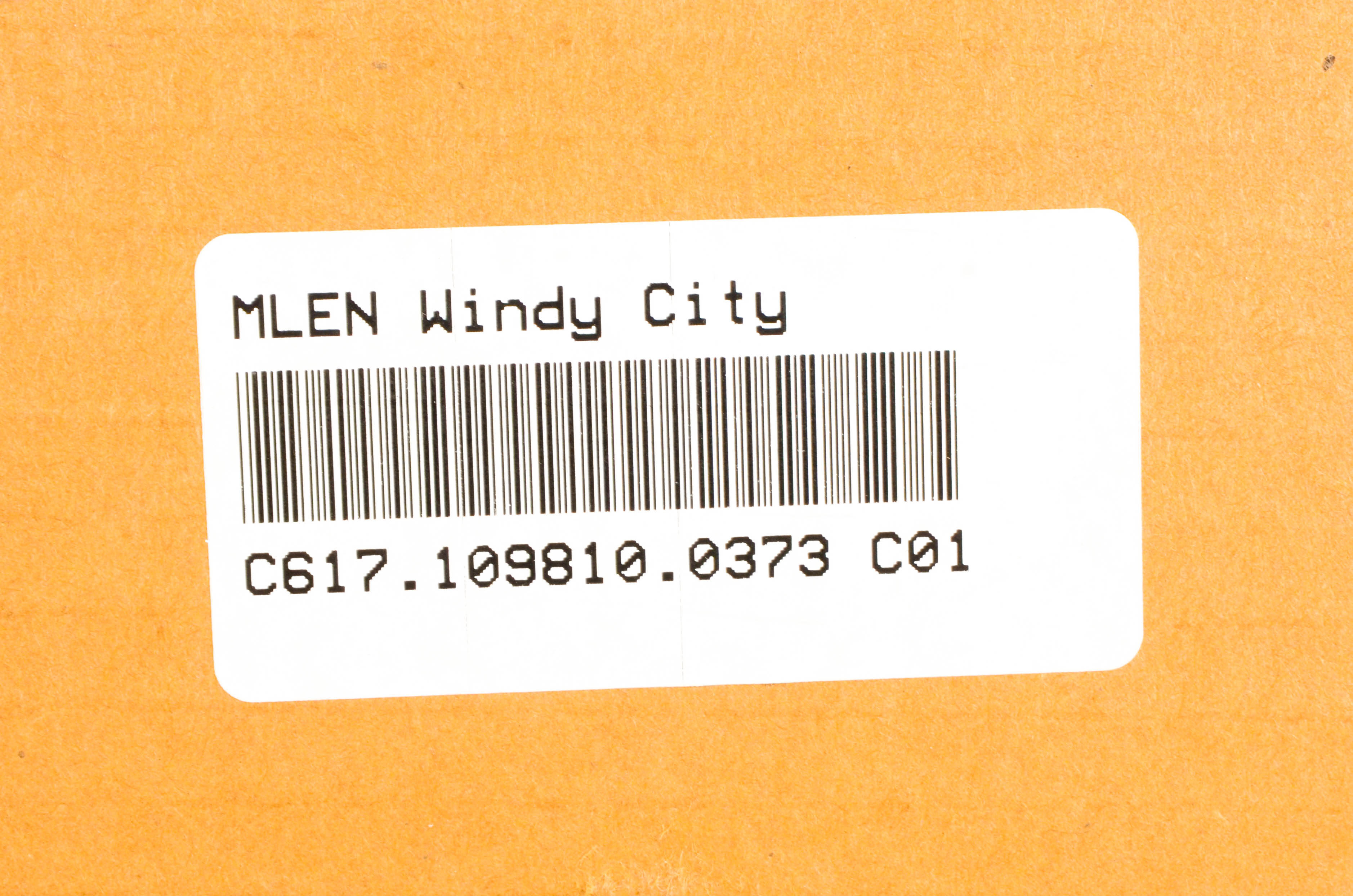 Misha Lenn "The Windy City" Seriolithograph