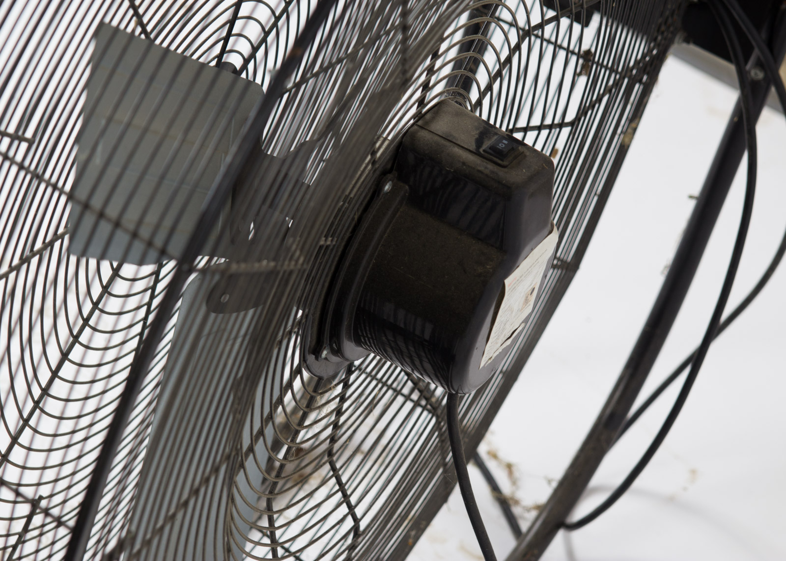 Tractor Supply Co. County Line Floor Fan on Wheels