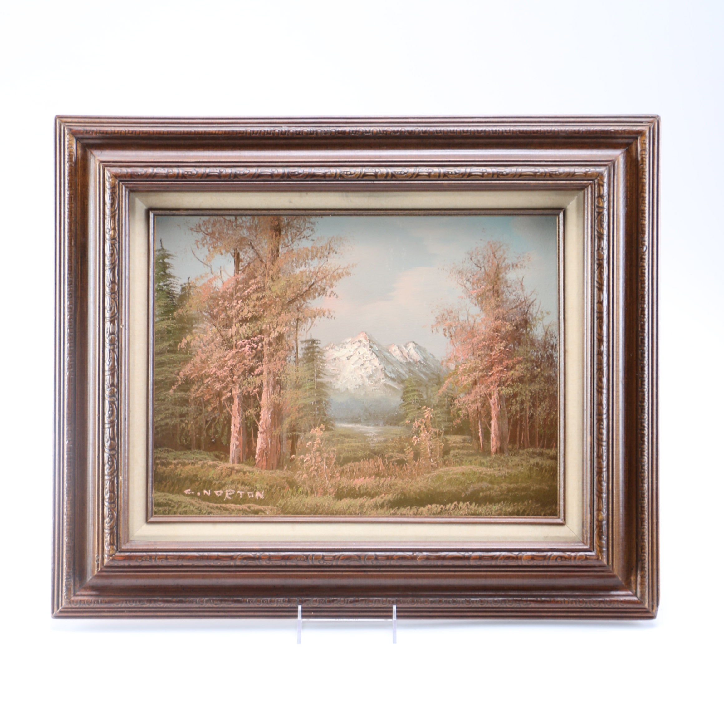 C. Norton Original Oil Painting of Woods and Mountain Landscape