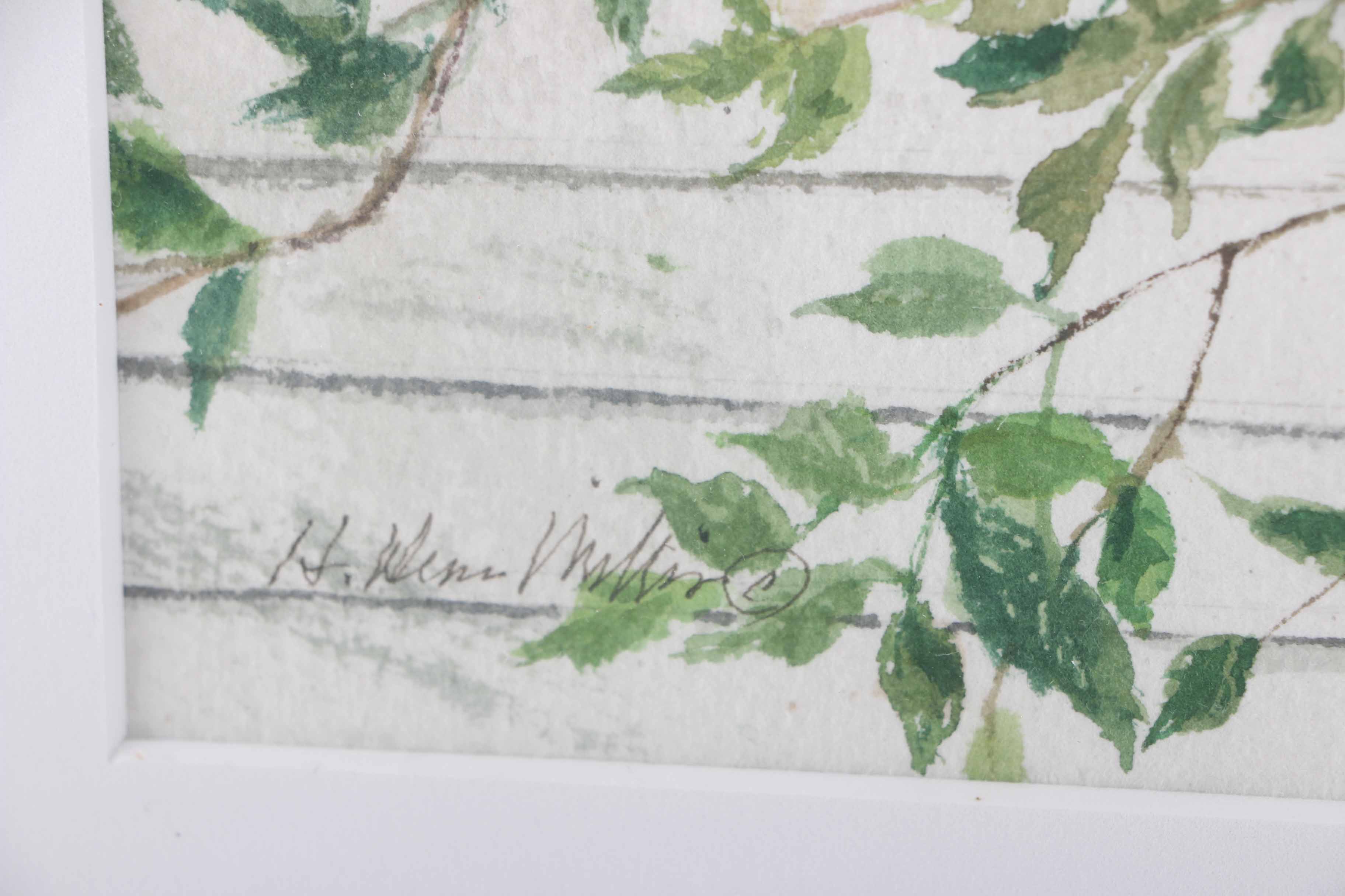H. Dean Willis Signed Watercolor of an Apple Branch Against an Eave