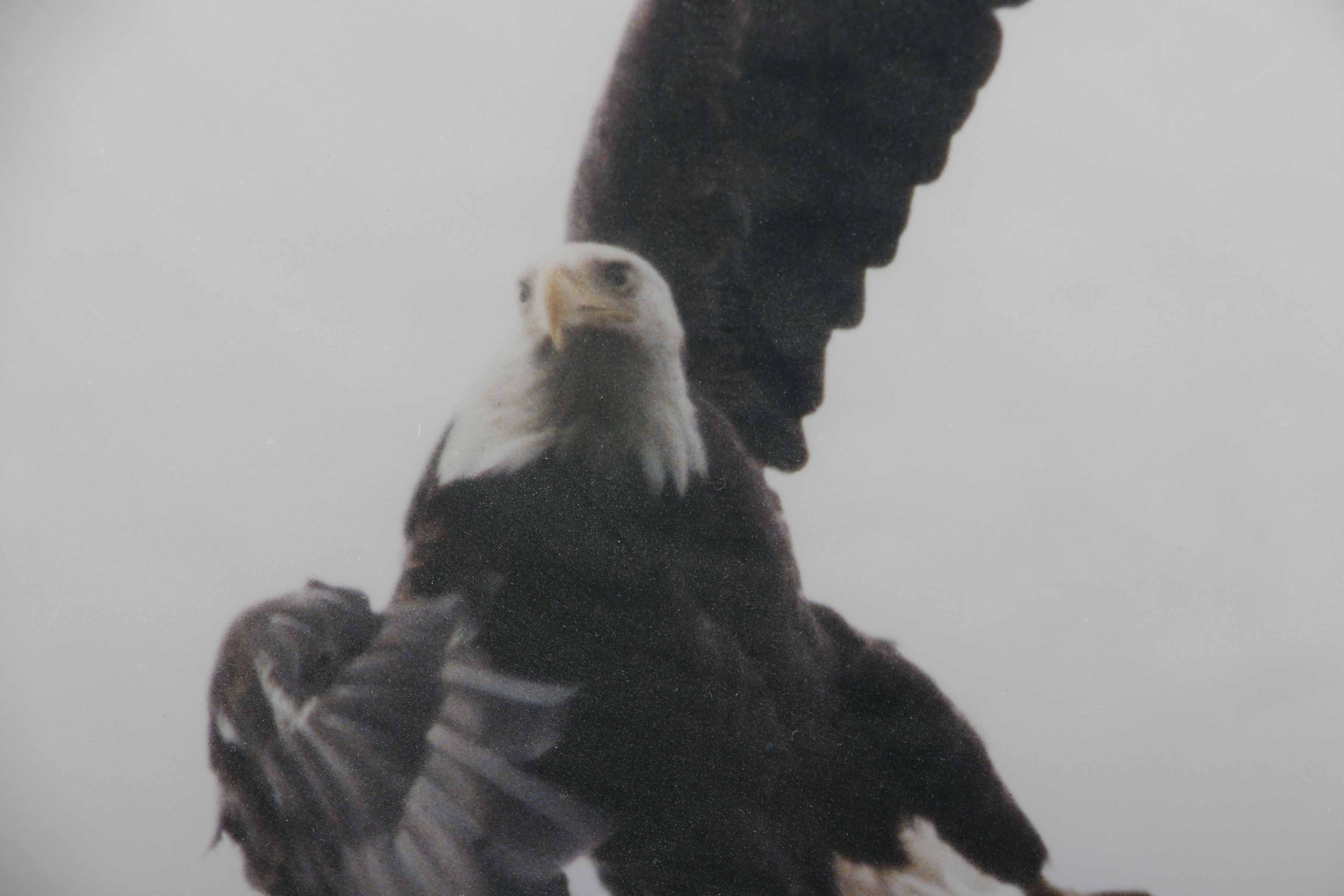 Keith Troia 1999 Digital Print "Take Off"