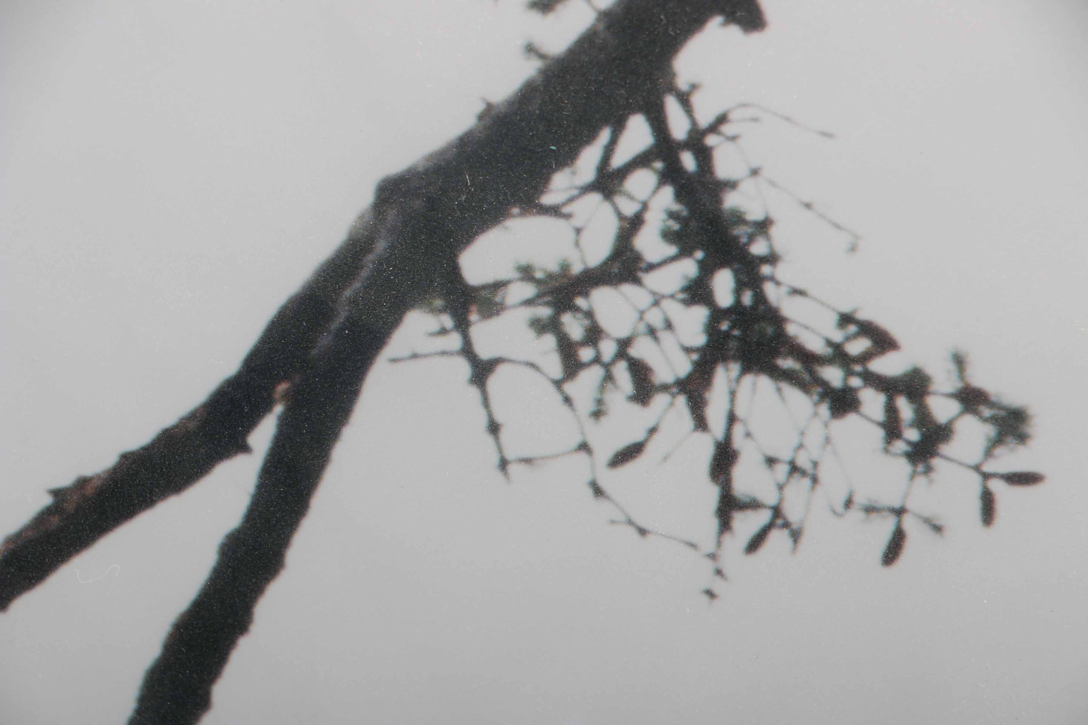 Keith Troia 1999 Digital Print "Take Off"