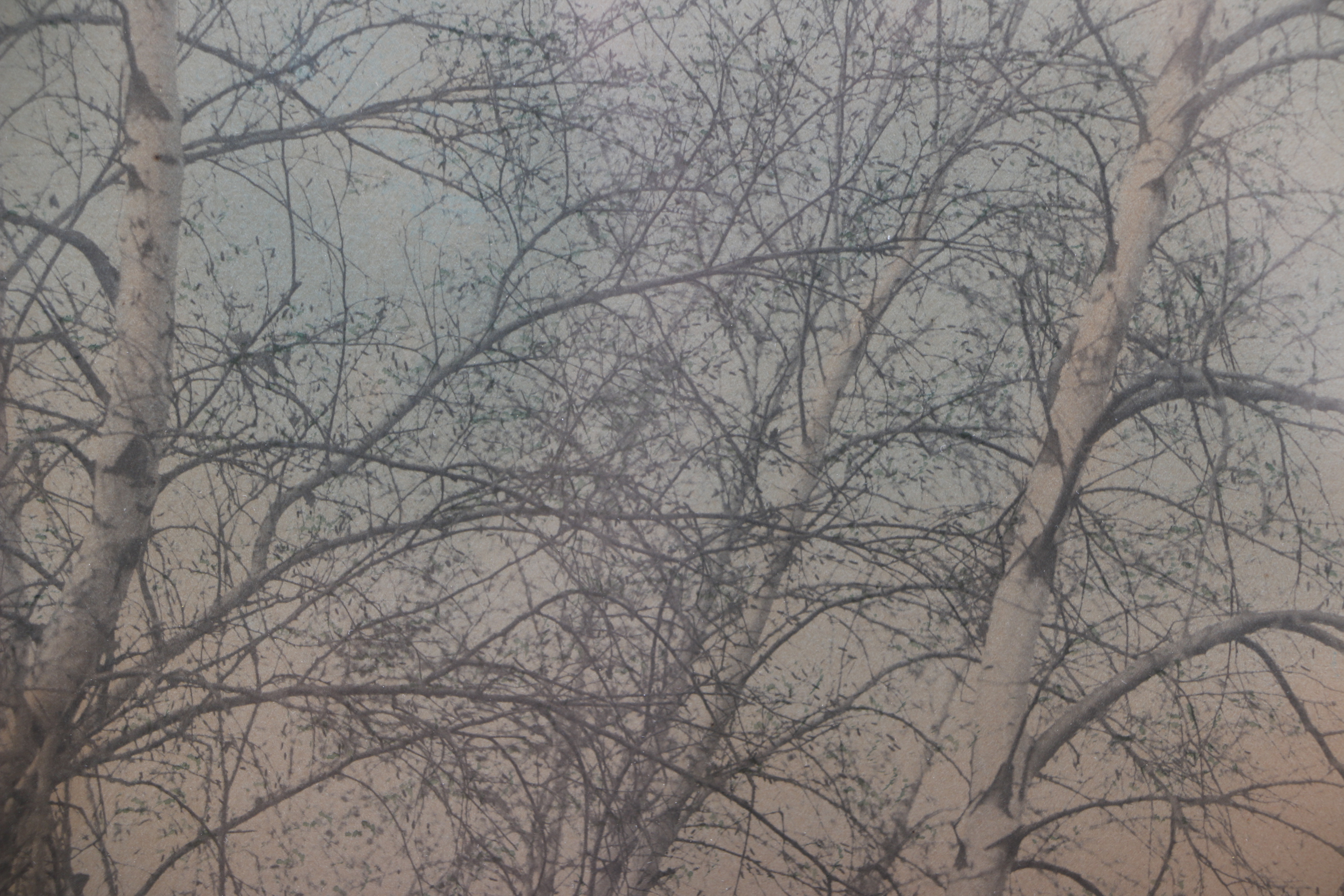 Wallace Nutting Han-Tinted Photograph "The Silent Shore"