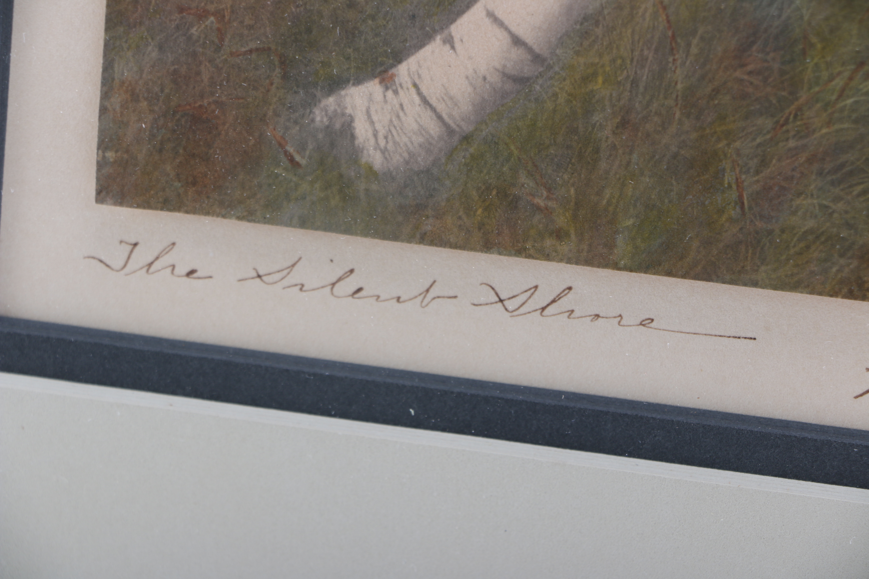 Wallace Nutting Han-Tinted Photograph "The Silent Shore"