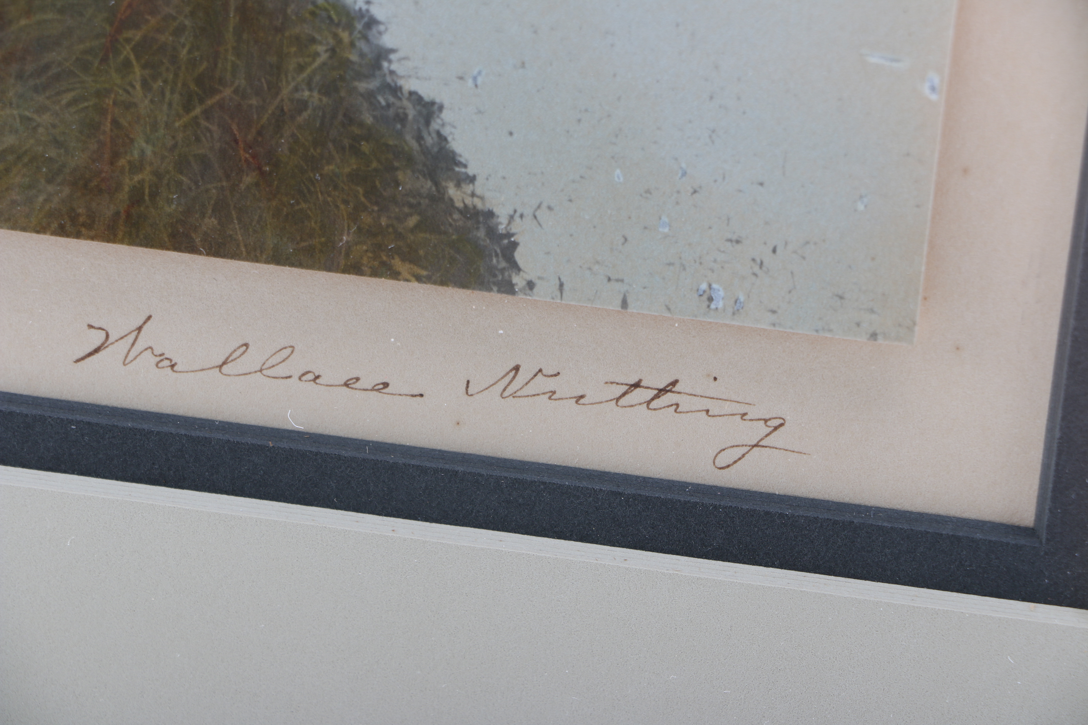 Wallace Nutting Han-Tinted Photograph "The Silent Shore"