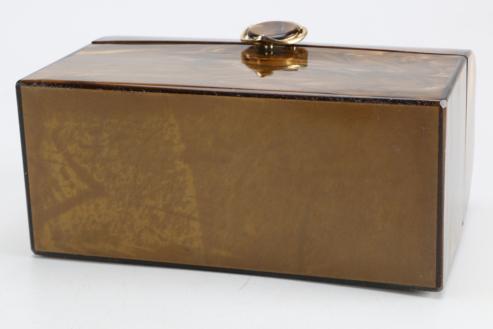 Wilardy Lucite Box Handbag