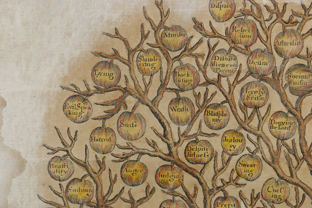 "Hieroglyphics of the Natural Man" by John Hagerty