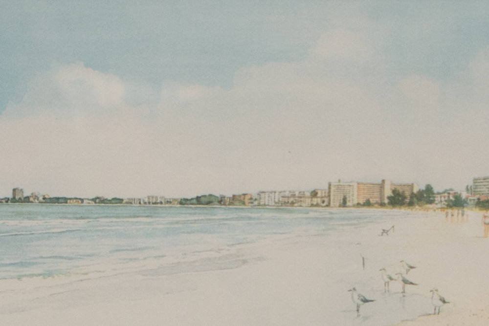 Framed Offset Lithograph by S. McLoughlin