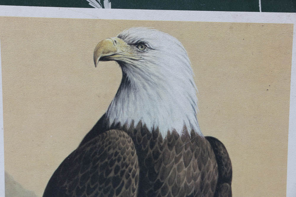 1967 "Portraits of Nature" Book by James Lockhart