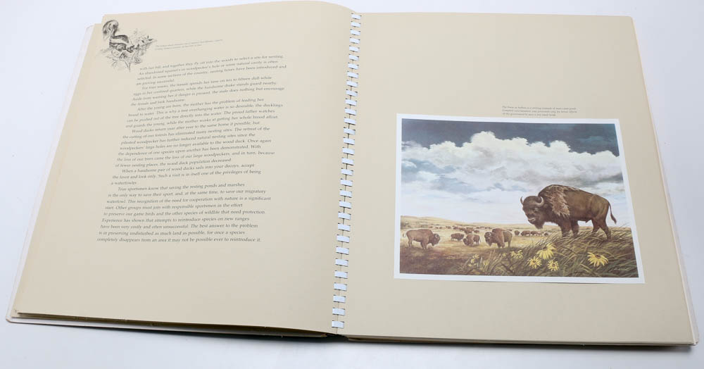 1967 "Portraits of Nature" Book by James Lockhart