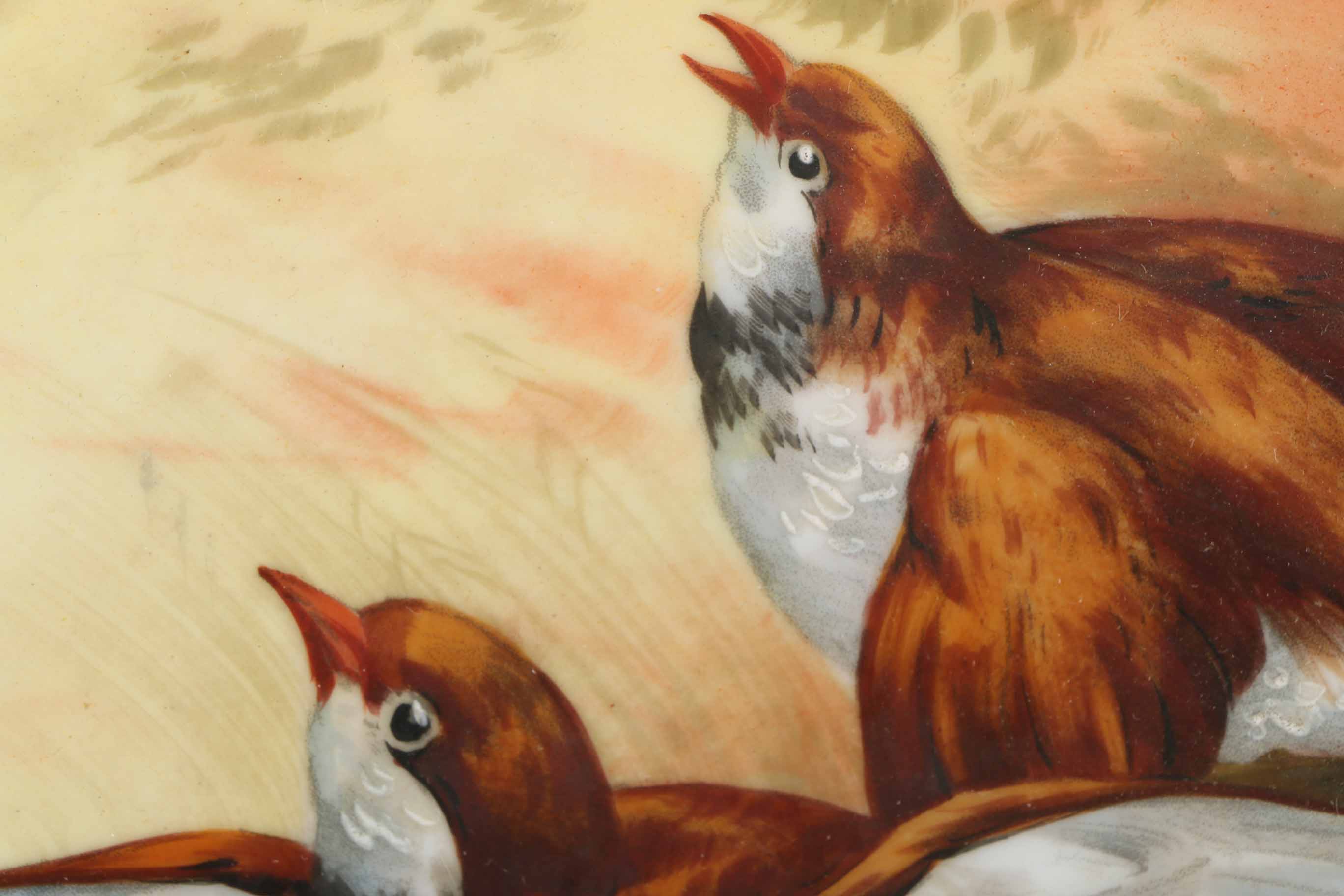 Pair of Vintage Coronet Decorative Bird Plates