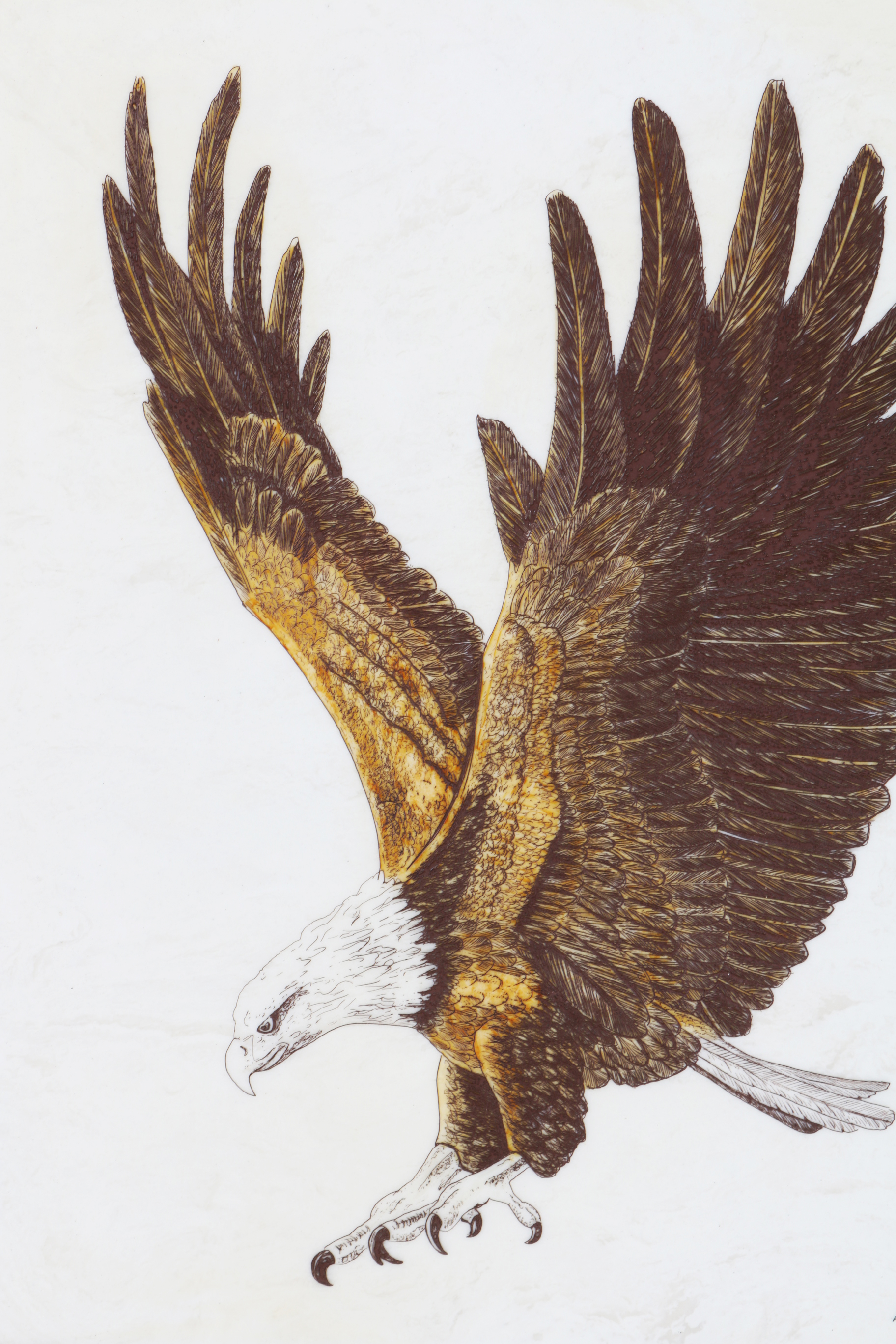 Etched Plaque of an Eagle by D R Mueller