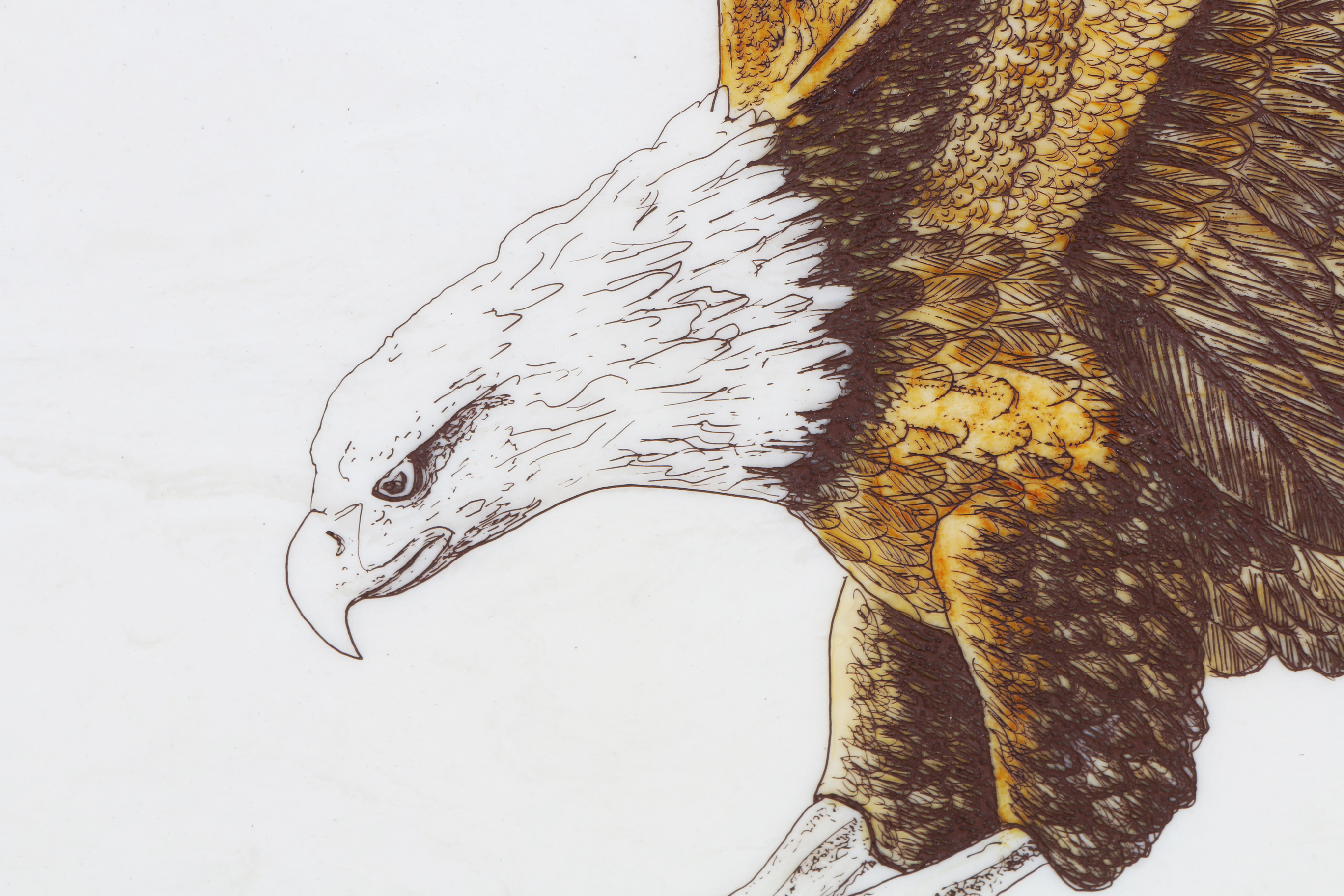 Etched Plaque of an Eagle by D R Mueller