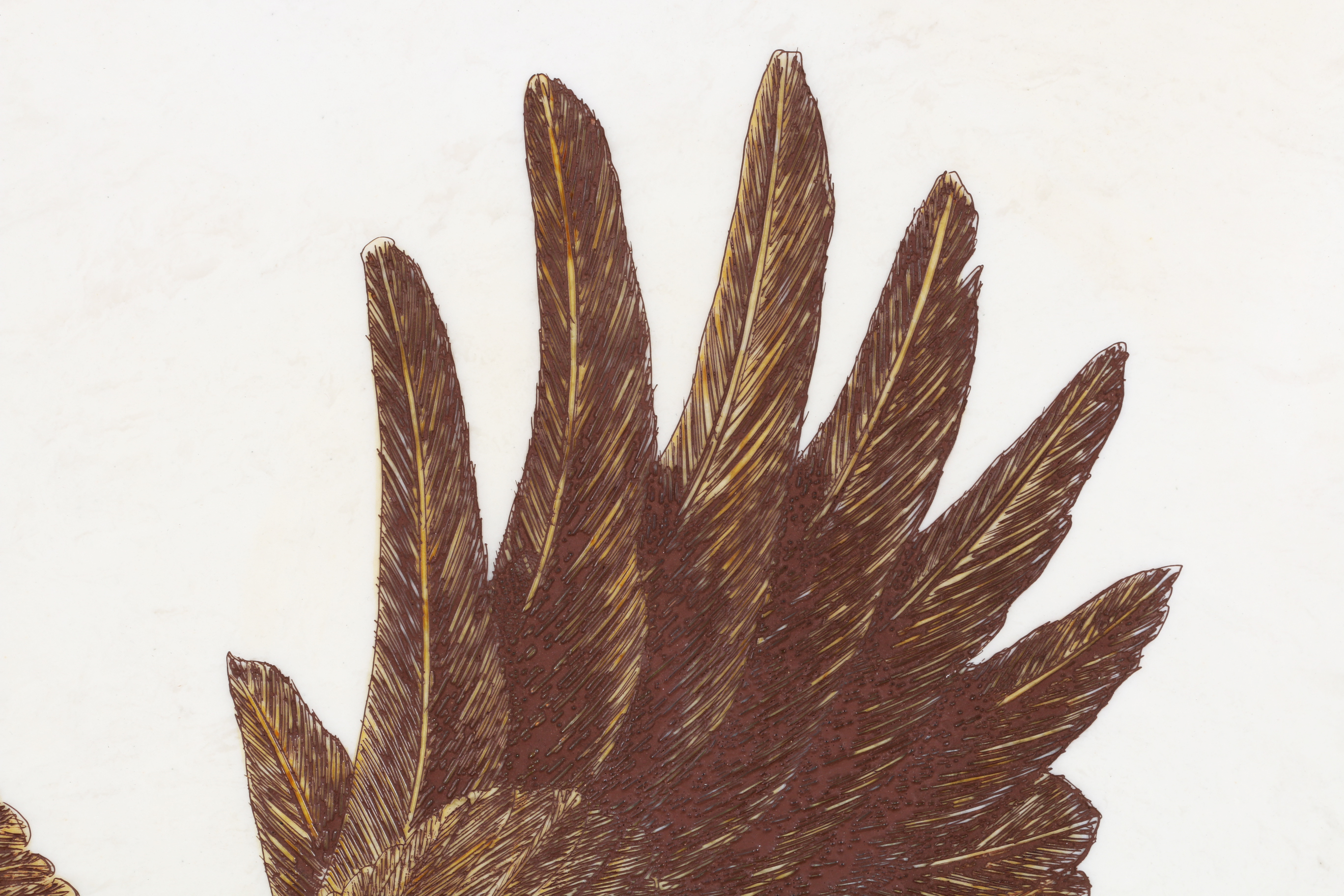 Etched Plaque of an Eagle by D R Mueller