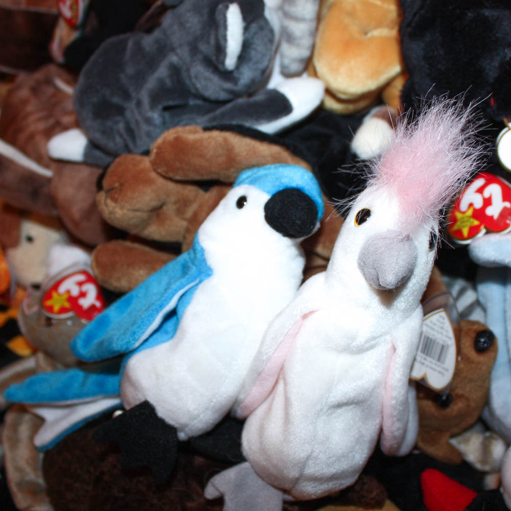 TY Beanie Babies Collection