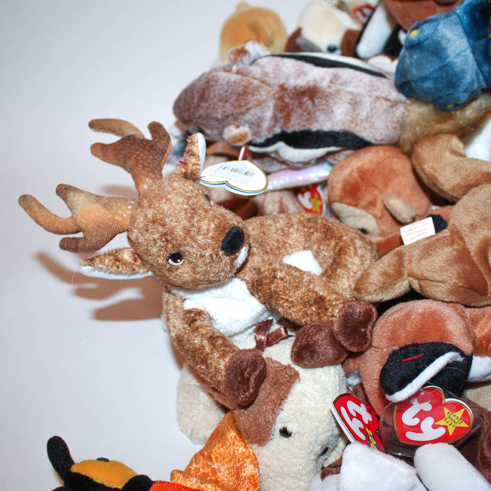 TY Beanie Babies Collection