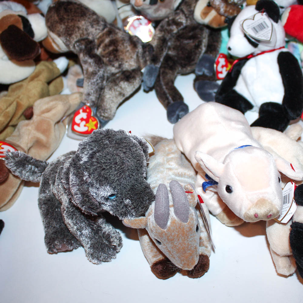 TY Beanie Babies Collection