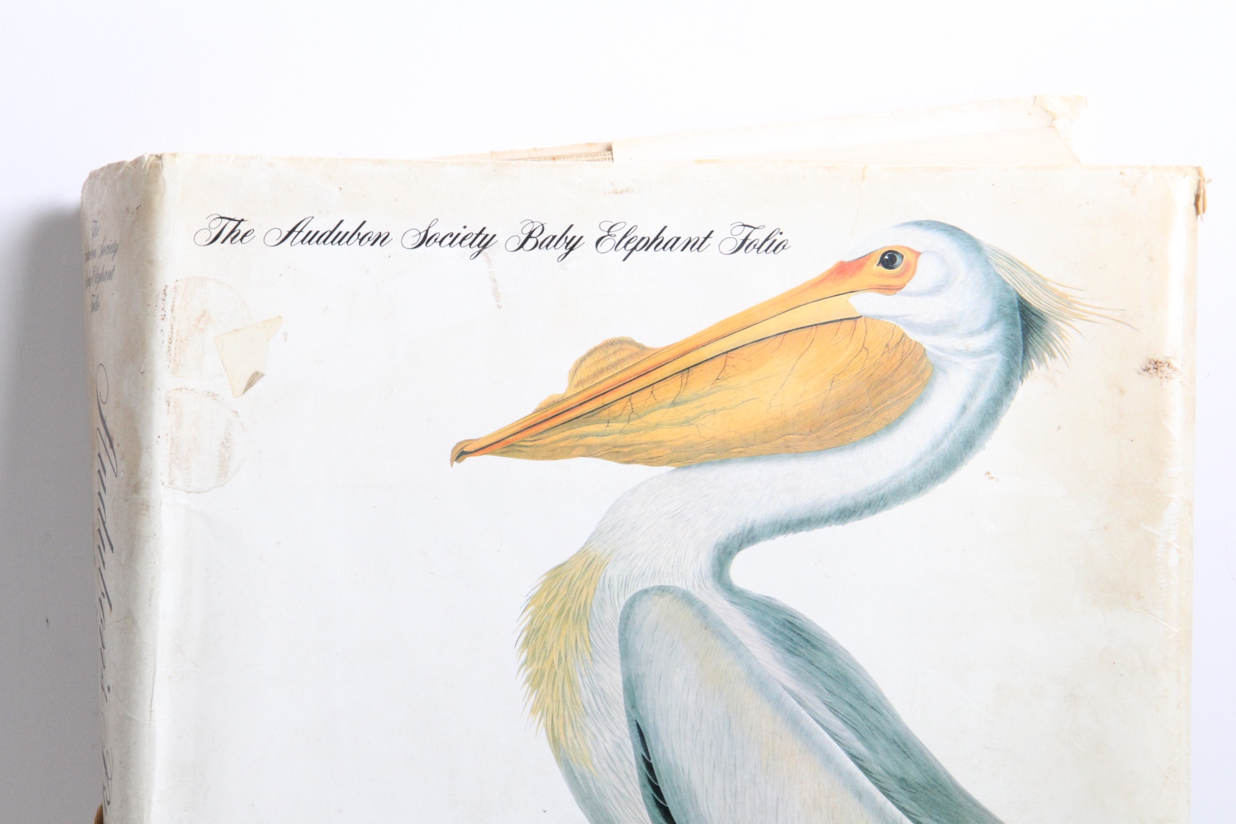 1981 Audubon Society Baby Elephant Folio