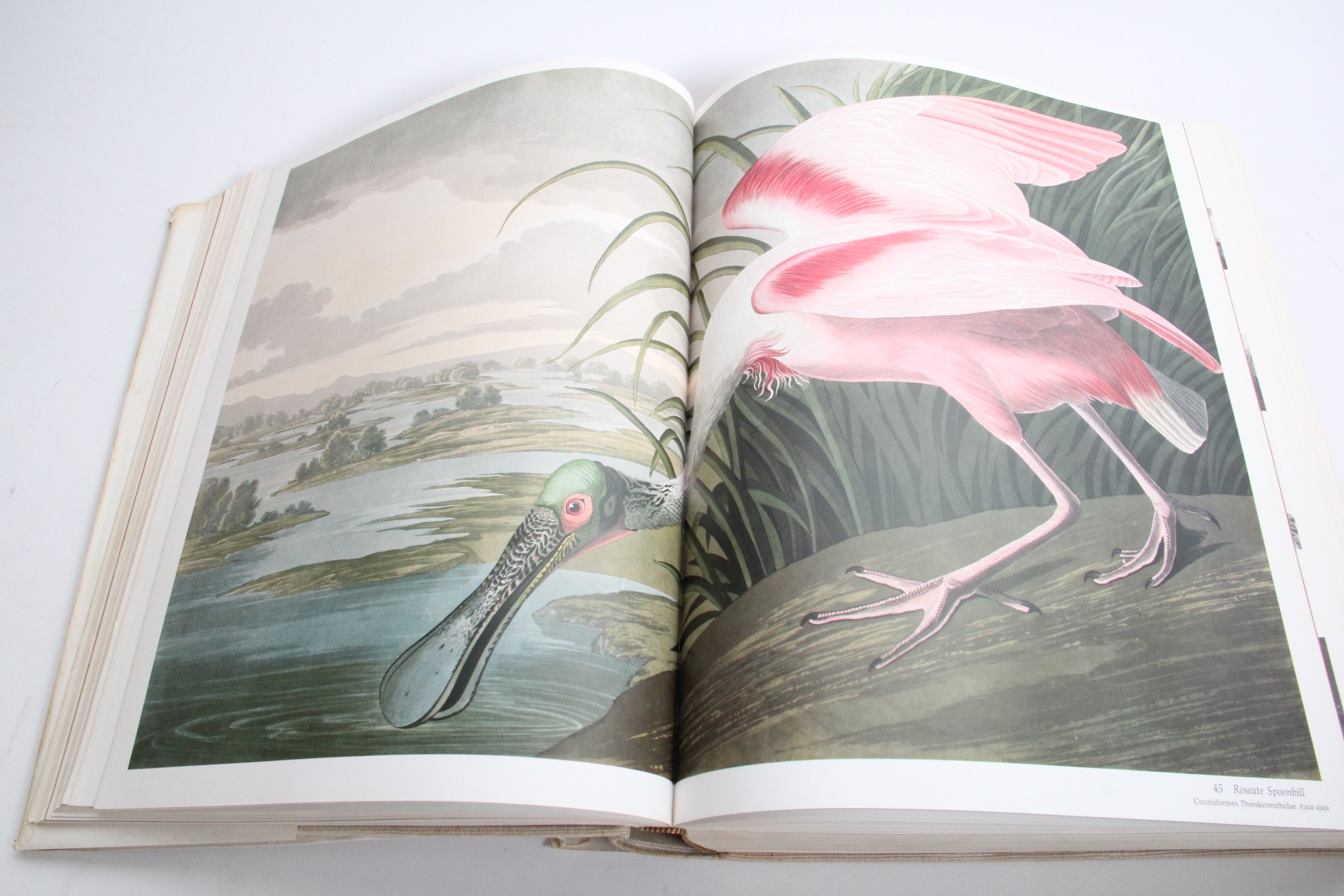 1981 Audubon Society Baby Elephant Folio