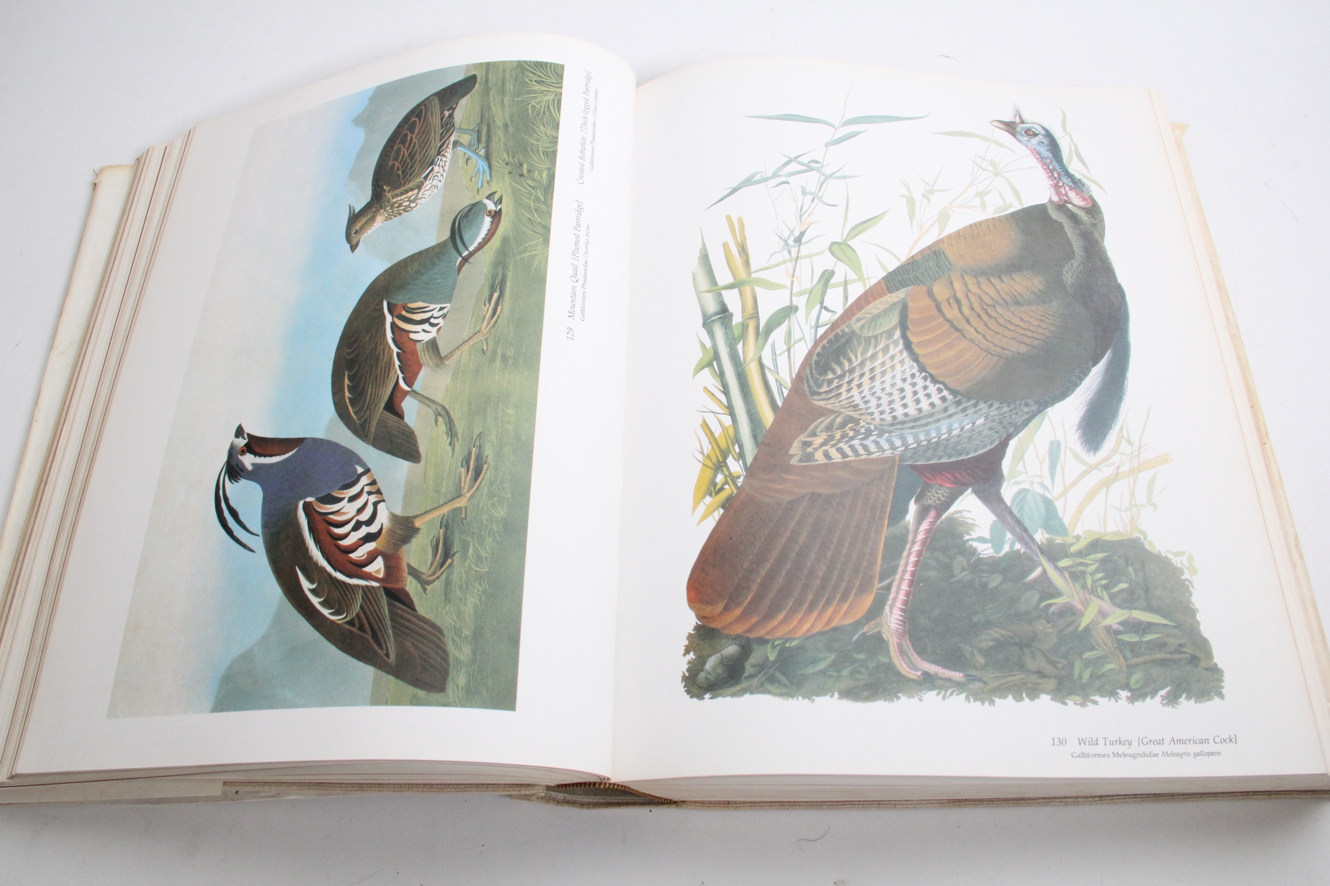 1981 Audubon Society Baby Elephant Folio