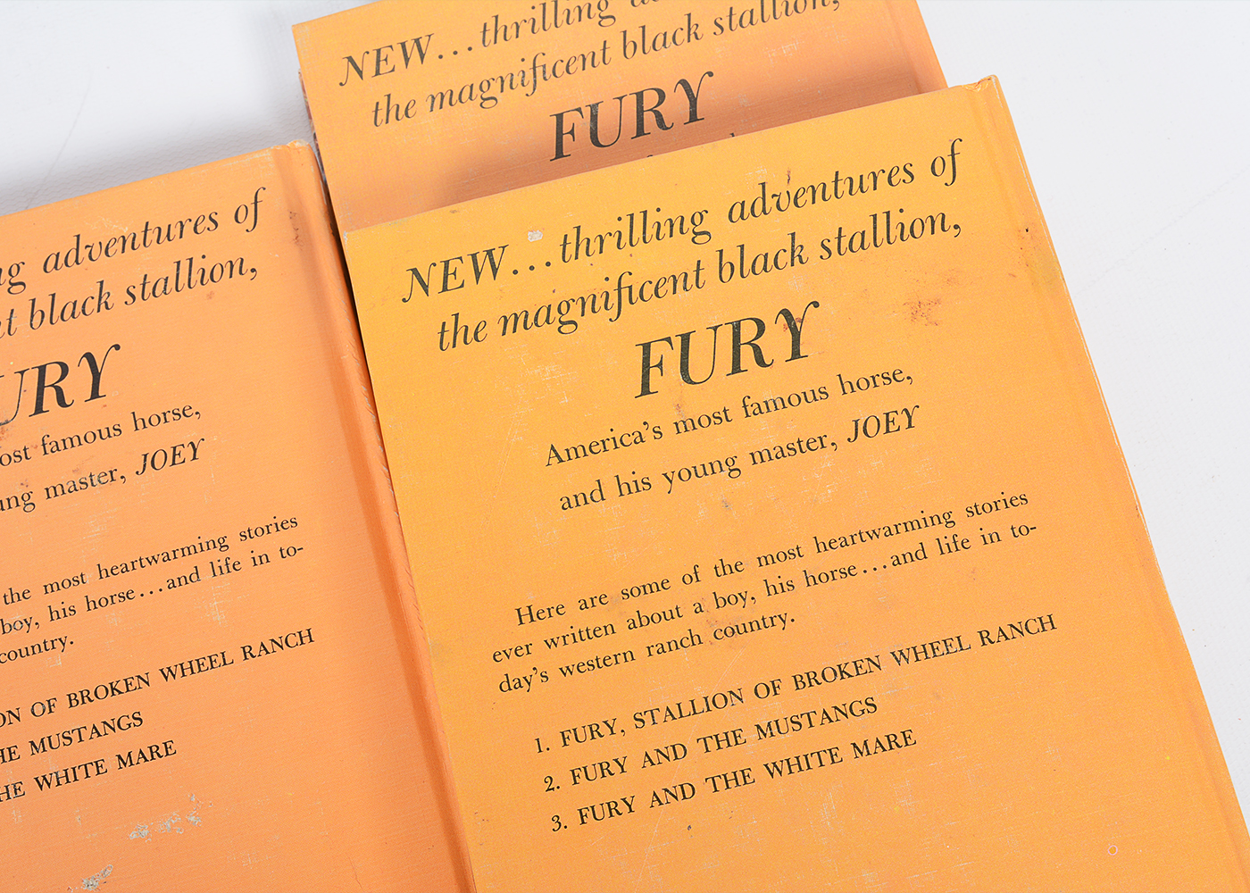 Collection of Vintage "Famous Horse Stories" Books