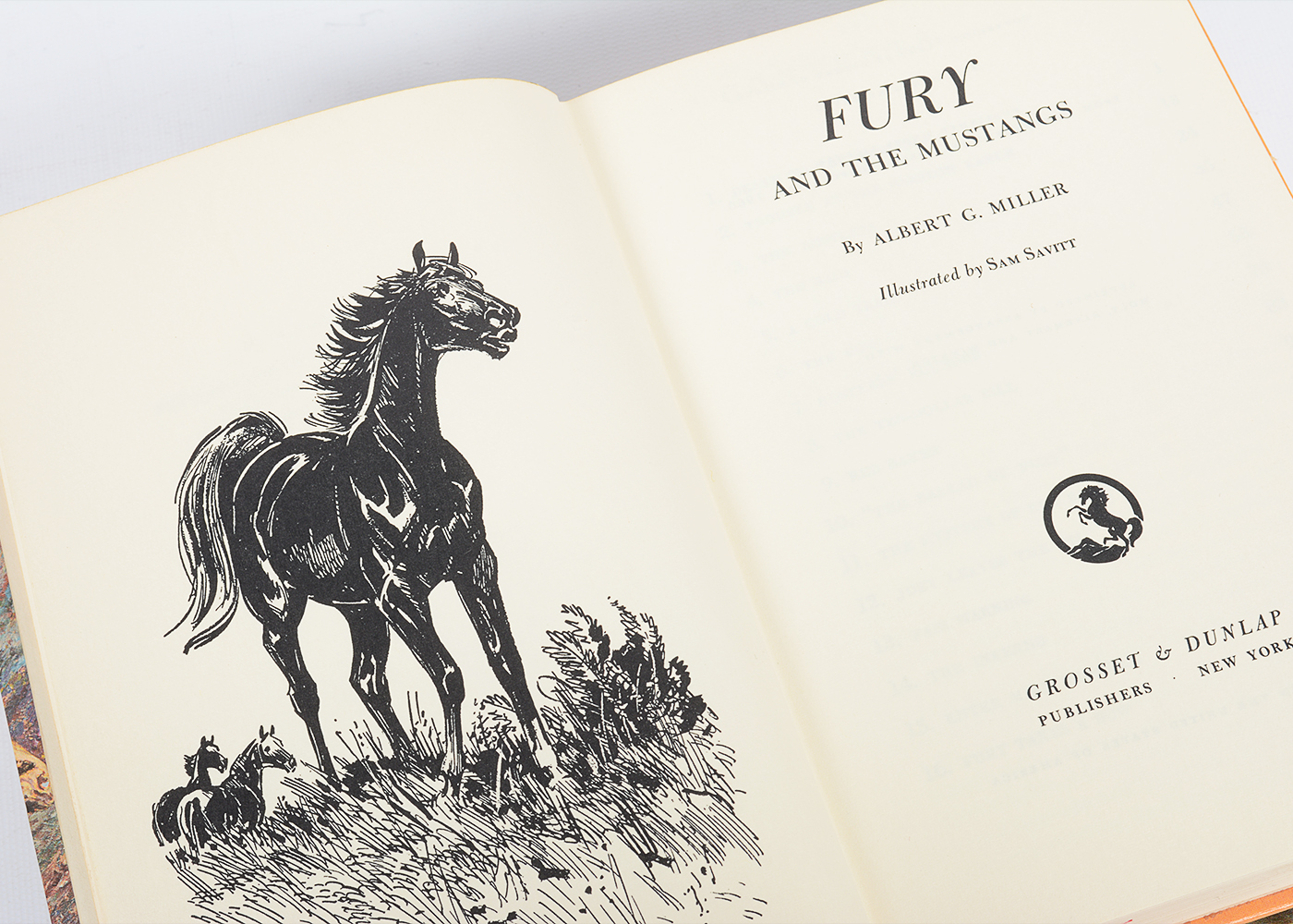 Collection of Vintage "Famous Horse Stories" Books