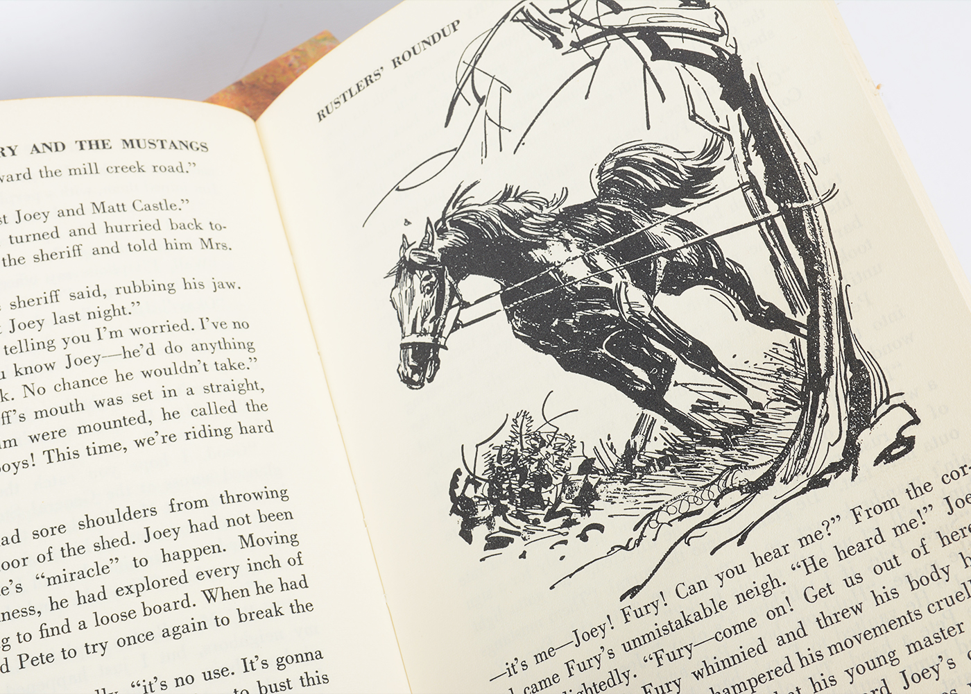 Collection of Vintage "Famous Horse Stories" Books